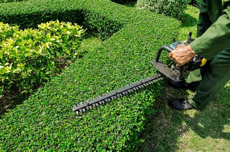 Choosing The Best Equipment For Hedging - JimsMowing.com.au