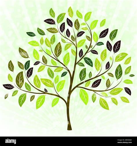 Green tree vector background Stock Vector Image & Art - Alamy