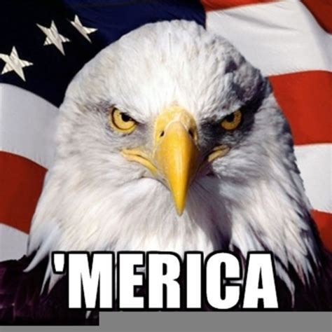 Merica Meme | Free Images at Clker.com - vector clip art online, royalty free & public domain