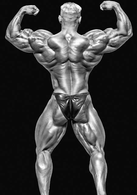 body builder back - Google Search Mr Muscle, Muscle Fitness, Bodybuilding Workouts, Bodybuilding ...