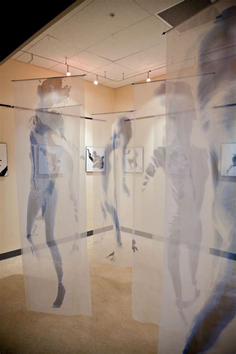 transparent fabric print installation - Google Search | Transparent art ...