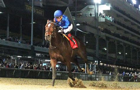 "Godolphin" horses clinch titles in the first category races in America and Australia - Teller ...