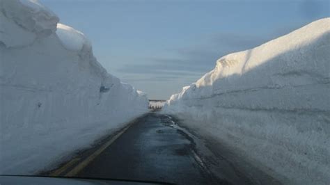 Cape Breton woman frustrated by national park snow clearing | CBC News