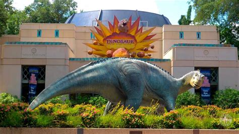 Dinosaur Ride at Disney's Animal Kingdom Complete Experience in 4K ...