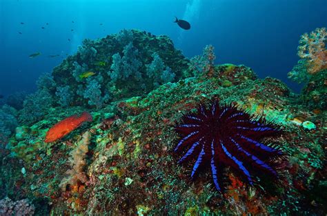 Sailing The Myeik Archipelago 6 Days - KSM Travels Myanmar