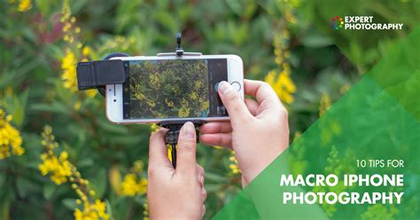 10 Tips for Macro iPhone Photography | Close Up Smartphone Photos