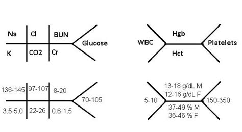 Lab Diagram Nursing