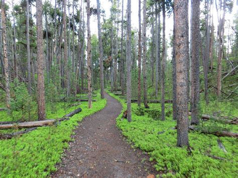 A winding hiking trail through central Yellowstone National Park, Wyoming [OP][3000x2250] : r ...