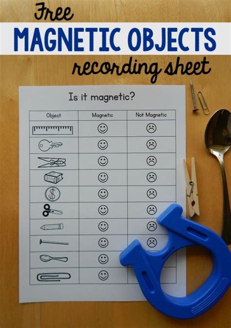 Magnet worksheet for kids | Preschool science, Elementary science ...