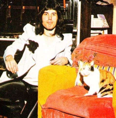 An Extraordinary Friendship: 18 Fascinating Photographs of Freddie Mercury Posing With His ...