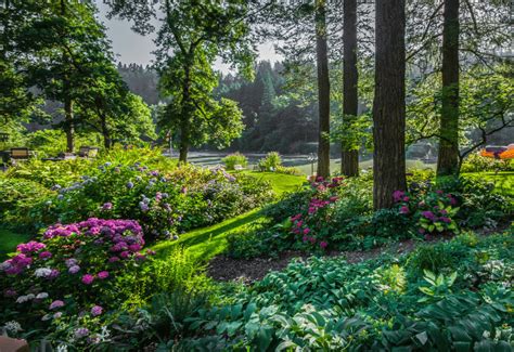 15 Plants That'll Grow Well (Not Just Survive) Under a Pine Tree