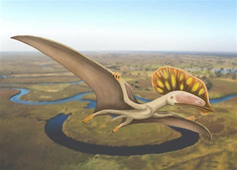 Scientists find rare pterodactyl fossil in the UK