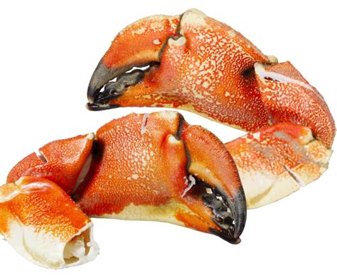 Buy Cooked Crab Claws 1kg Online at the Best Price, Free UK Delivery - Bradley's Fish