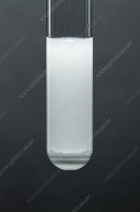 Silver chloride precipitate - Stock Image - C030/7203 - Science Photo Library