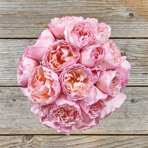 Light Pink Garden Rose Flower Arrangement - The Bouqs Co.