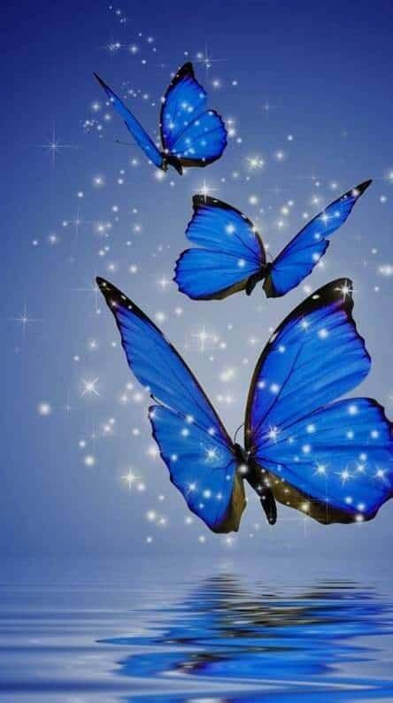 22 Butterfly wallpaper backgrounds ideas in 2021 | butterfly wallpaper backgrounds, butterfly ...