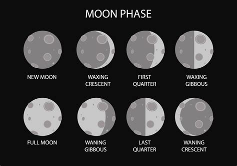 Free Moon Phase Vector 112858 Vector Art at Vecteezy