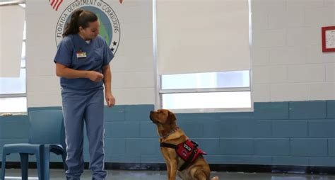 Dog training program at Lowell Correctional Institution changes inmates ...