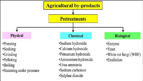 Examples of different pretreatments of agricultural by-product | Download Scientific Diagram