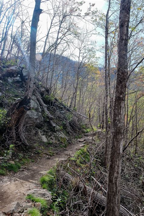 The Rainbow Falls Trail: A Great First Hike In The Smoky Mountains