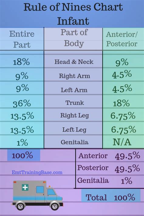 Rule Of 9S Burn Chart