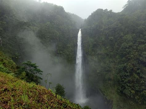 A Complete Hiking Guide To Akaka Falls State Park - The Simple Hiker