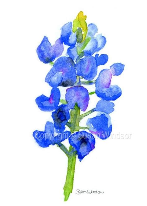 Texas Bluebonnet Watercolor Painting - 4 x 6 - Giclee Fine Art Print ...