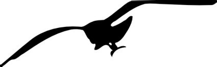 Seagull Outline - ClipArt Best