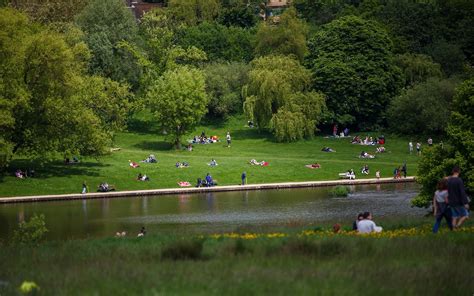 London's best parks for picnics - Telegraph