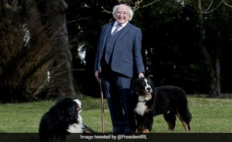 Irish President's Dog Steals The Show On Live TV