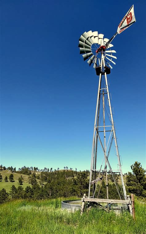 Nebraska National Forest | Wilderness Volunteers