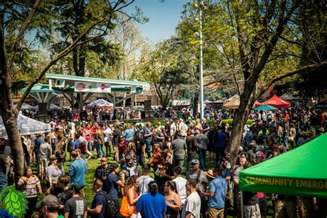 Spring Brews Festival Coming Up – Don’t Miss It! | Diablo Reporter