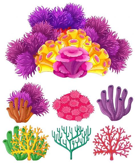 Coral Reef On White Background | Coral art, Coral drawing, Jellyfish art