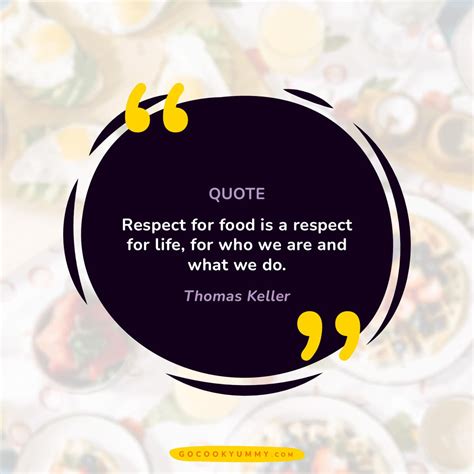 225+ Food Waste Quotes and Instagram Captions - Go Cook Yummy