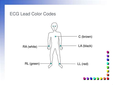 PPT - ECG PowerPoint Presentation, free download - ID:2109118