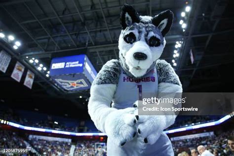 Connecticut Huskies Mascot Photos and Premium High Res Pictures - Getty ...