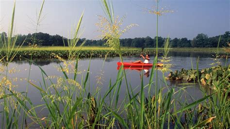 Patuxent River Park (U.S. National Park Service)