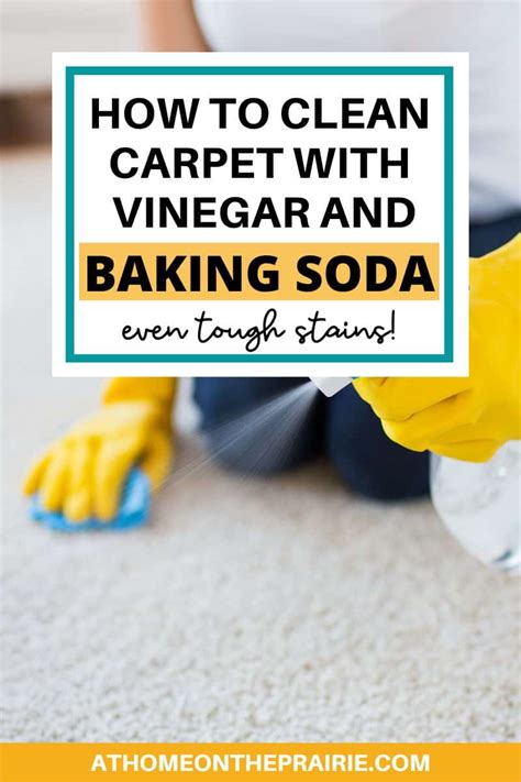 Baking Soda And Apple Cider Vinegar Carpet Cleaner | Review Home Co