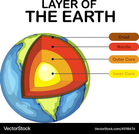 Diagram showing layers of the earth lithosphere Vector Image