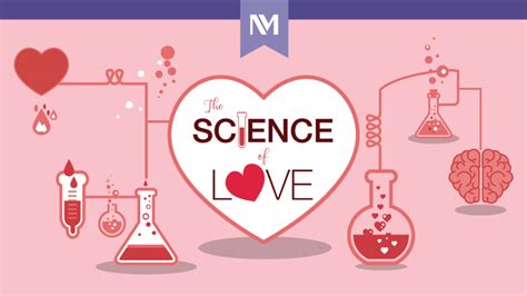 The Science of Love (Infographic) | Northwestern Medicine