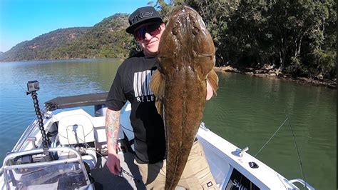 The BIGGEST Flathead I’ve Ever Seen - Crocodile Hunting In The Hawkesbury River - Fishing ...