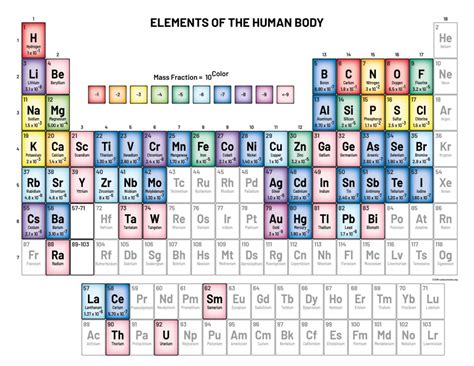 Massimo on Twitter: "This is the periodic table of percent composition ...