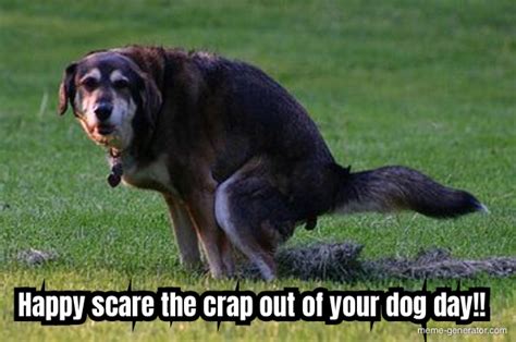 Scare the crap out of your dog day - Meme Generator