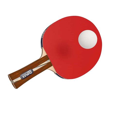 10 Best Ping Pong Paddles Under $50 (UPDATED 2021) {Tested Racquets}