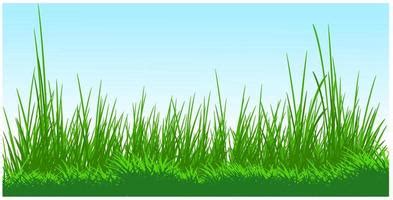 Free Color Clipart Tall Grass