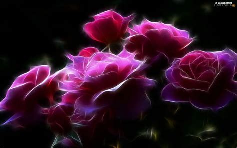 3D, Pink, roses - For desktop wallpapers: 1680x1050