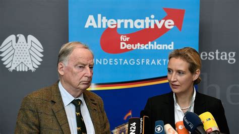 The 'Very Different' Leaders Of Germany's Far-Right AfD Party ...