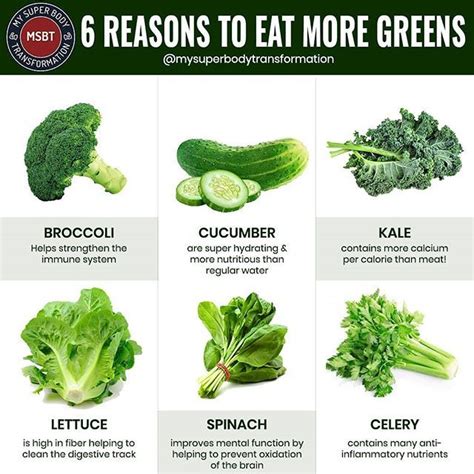 6 Reasons To Eat More Greens Leafy Greens are such an important component of a healthy diet why ...