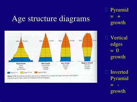 3 Different Age Structure Diagrams Structure Diagrams Rapidl