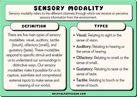 Sensory Modality: 10 Examples and Definition (2024)